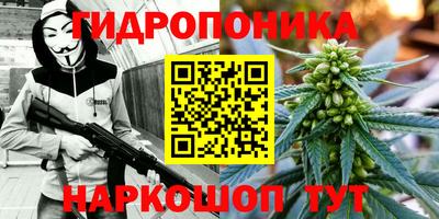 apvp Краснокаменск
