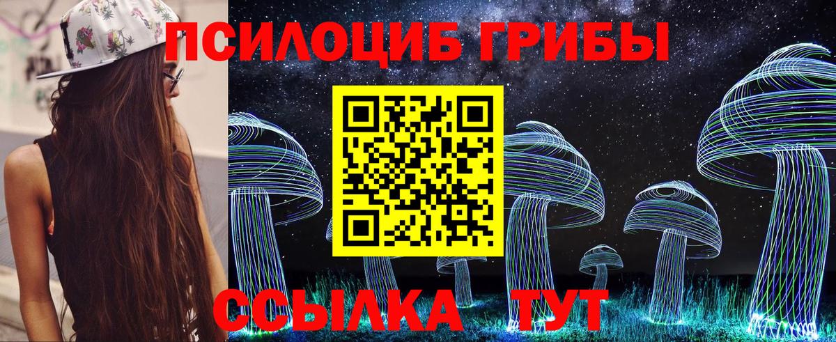 Псилоцибиновые грибы Psilocybe  Вход с VPN  Псилоцибиновые грибы Psilocybine cubensis  закладка  Заволжье 