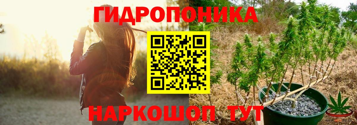 Бошки марихуана OG Kush  Вход с VPN  Конопля конопля  Бошки марихуана LSD WEED  Заволжье 