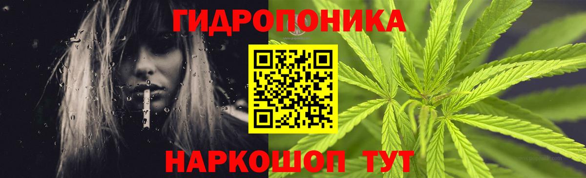 Шишки марихуана AK-47 Заволжье